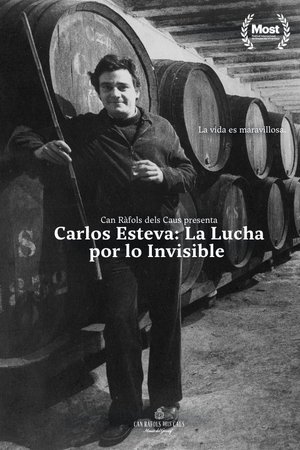 Carlos Esteva: la lluita per l'invisible