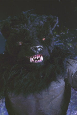 Hatim Confronts A Werewolf