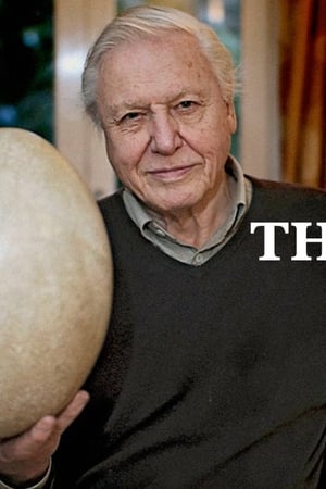 Attenborough and the Giant Egg