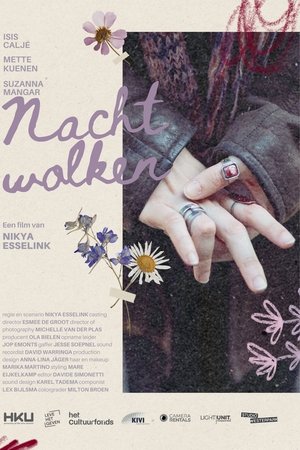 Nachtwolken