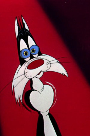 Scaredy Cat
