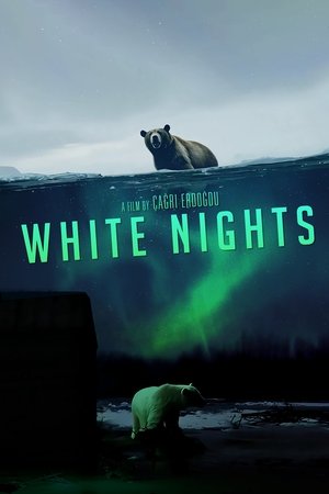 Beyaz Geceler
