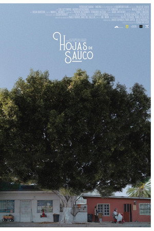 Hojas de Sauco