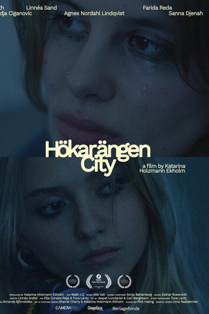 Hökarängen City