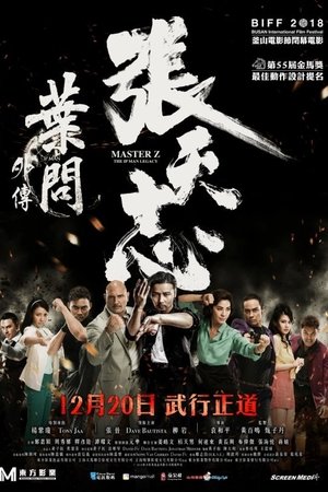 Ip Man: Cheung Tin Chi