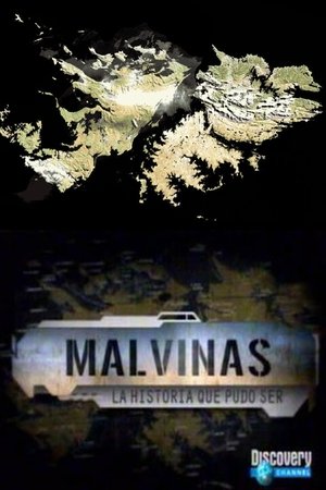 Malvinas La Historia Que Pudo Ser