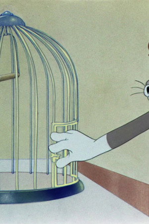The Cagey Canary