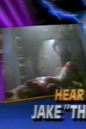 August 24, 1991 - Superstars of Wrestling 260