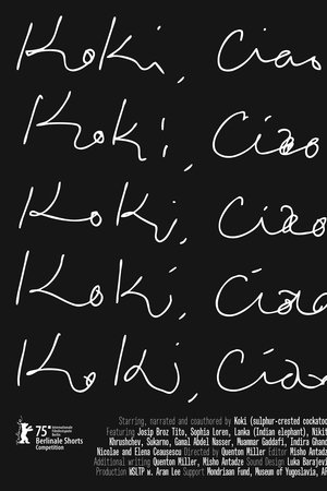 Koki, Ciao