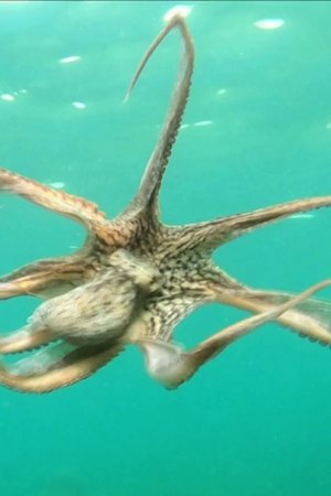7. epizoda