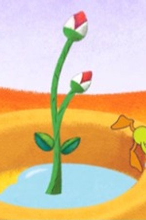 The Story of Doris' Flower