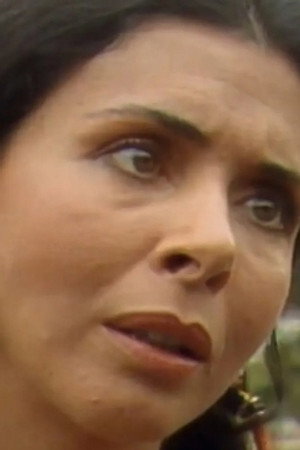 1977: A Organização (1)