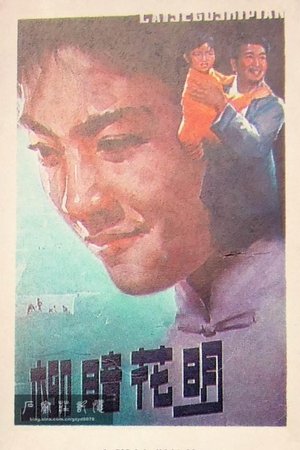 柳暗花明