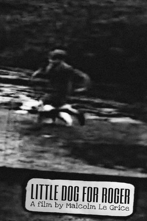 Little Dog for Roger