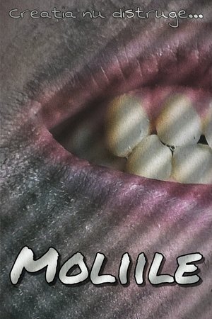 Moliile