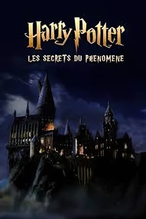 Harry Potter : les secrets du phénomène