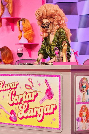 The Hairdresser's Salon