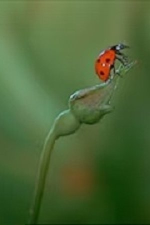 148. epizoda