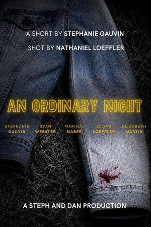 An Ordinary Night