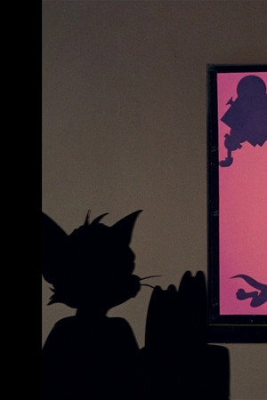 Shutter Bugged Cat