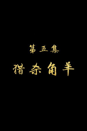 Episode 5