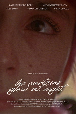 The Curtains Glow At Night