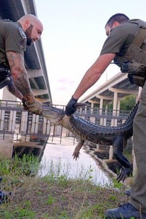 4. epizoda