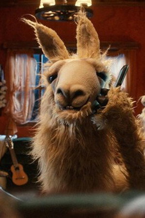 Vicuña