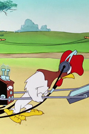 The Rattled Rooster