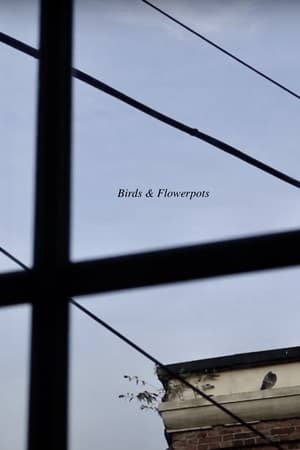 Birds & Flowerpots