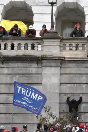 Day of Rage: How Trump Supporters Took the U.S. Capitol