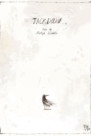 Jackdaw
