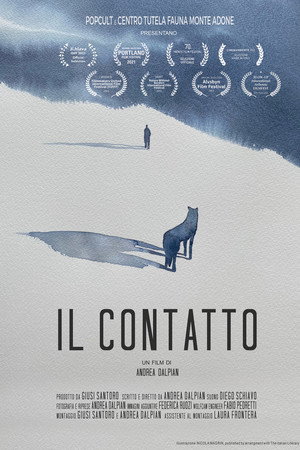 Il Contatto