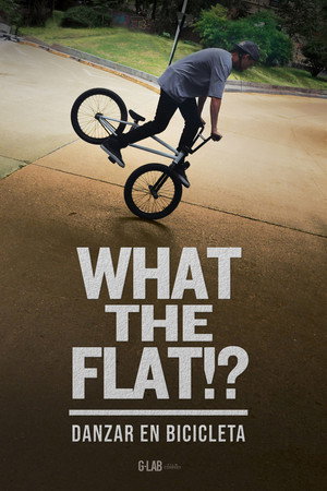 WHAT THE FLAT!?