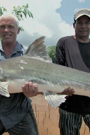 epizoda