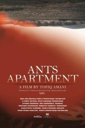 Ants Apartment