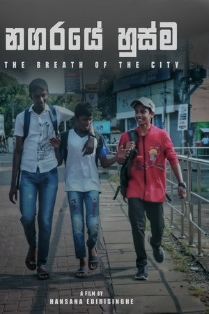 The Breath of the City