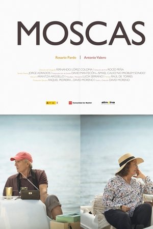 Moscas