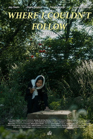 Where I Couldn't Follow