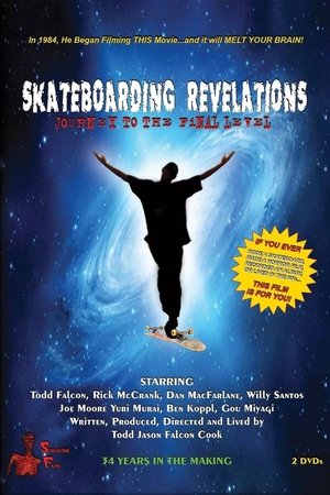 Skateboarding Revelations: Journey to the Final Level