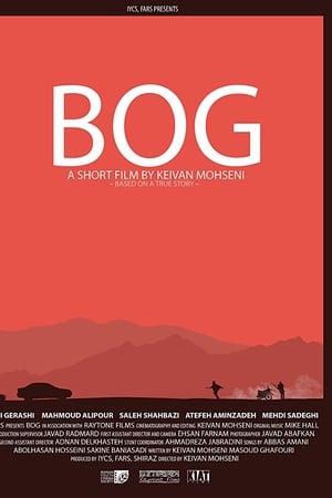 Bog