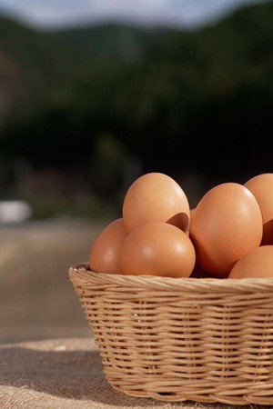 Eggs