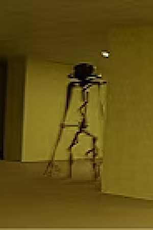 The Backrooms (Found Footage)