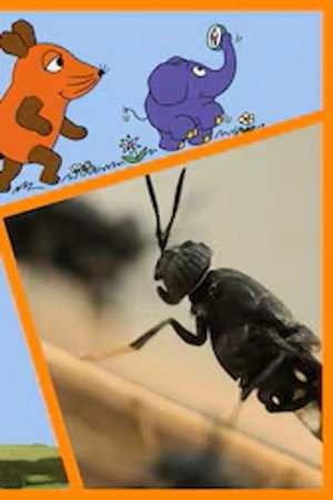 Episode 38