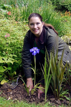 Irises and Ornamental Grasses