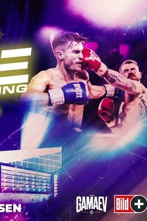 Fame Fighting 3
