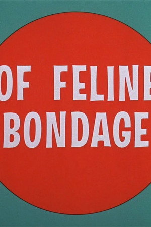 Of Feline Bondage