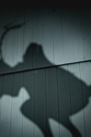 Malevolent Curses