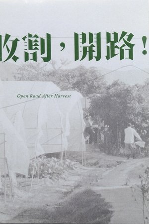 Open Road After Harvest