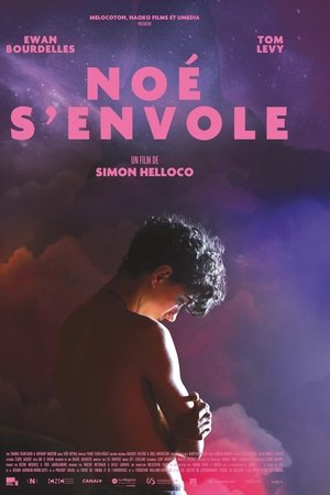 Noé s'envole